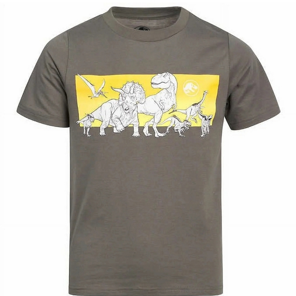 Boys Jurassic World T-Shirt – Size 6 – Gray Dinosaur Graphic